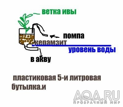 схема фитофильтра