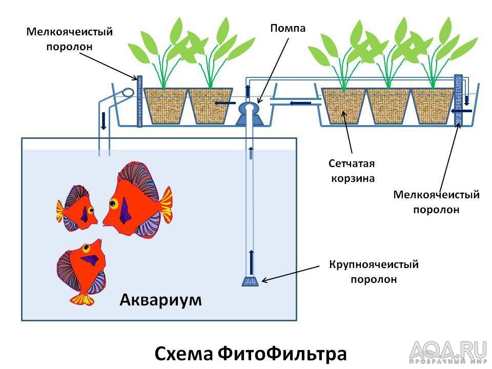 Схема фитофильтра