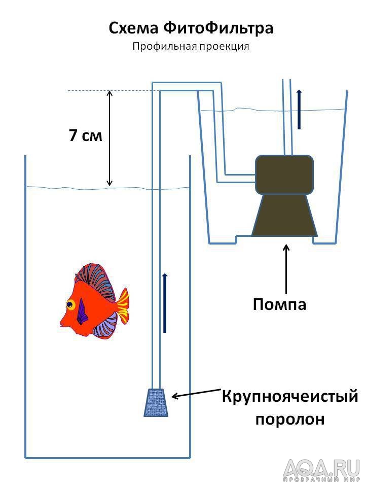 Схема фитофильтра