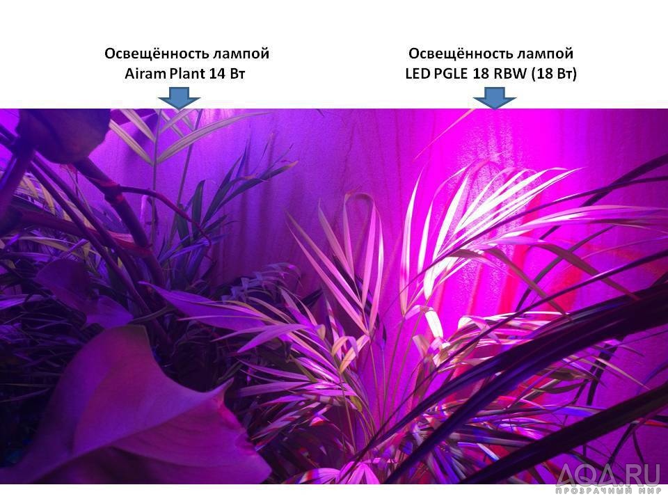 Энергосберегающая и светодиодная лампы для фитофильтра