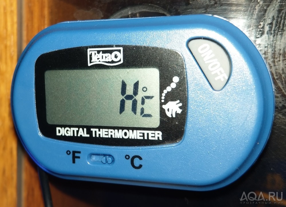 Термометр Тетра каюк через месяц