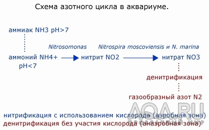 для форума