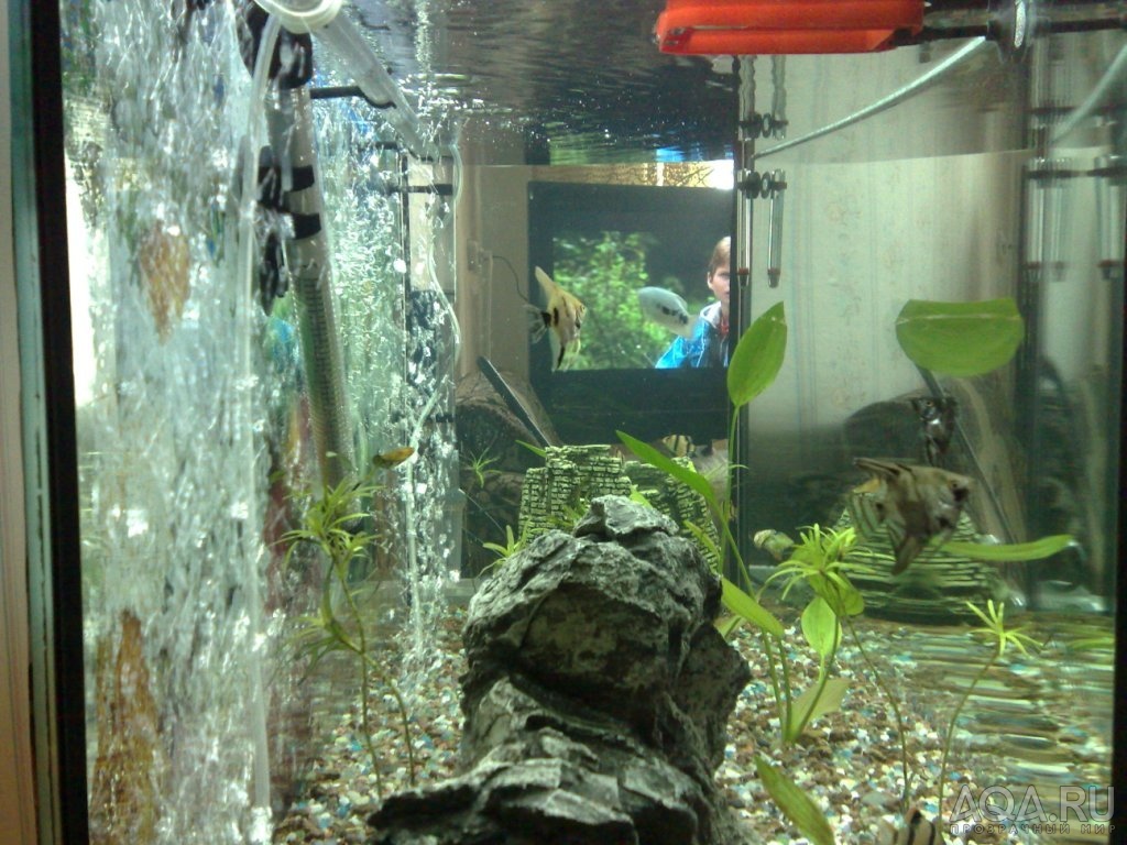 аквариум 200 литров вид сбоку