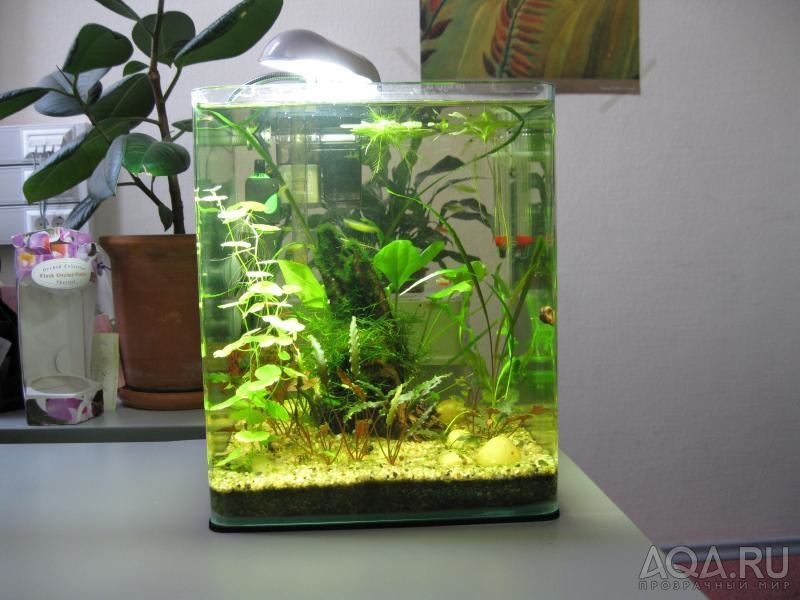свет для маленького аквариума