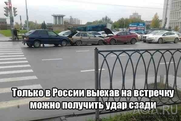 полиптерус