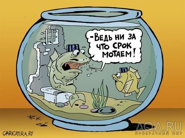 для форума