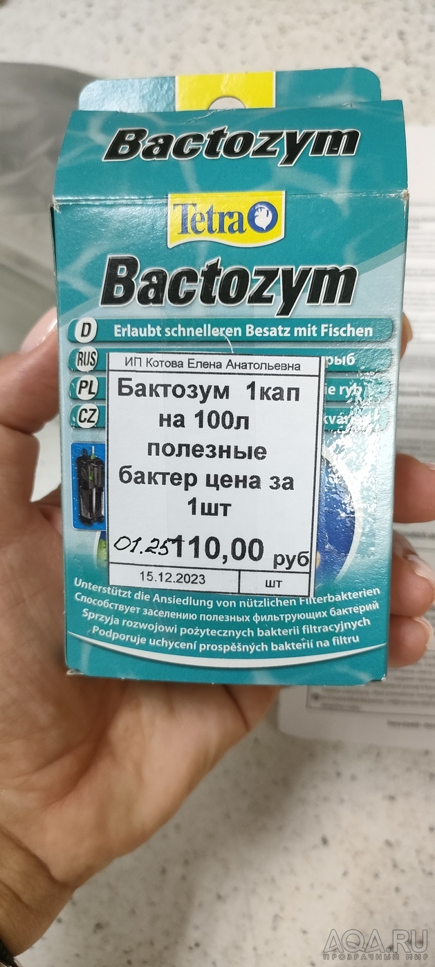 Не могу разобраться по запуску. Помогите!