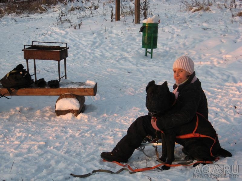 Отдыхаем после катания на санках