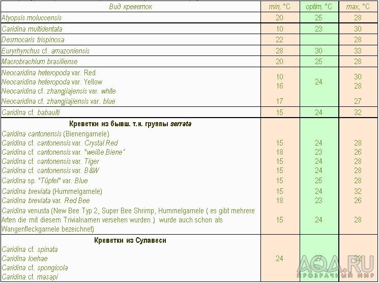 температура воды для креветок