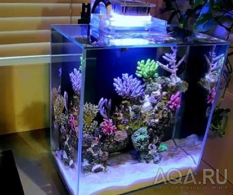 Морской нано аквариум