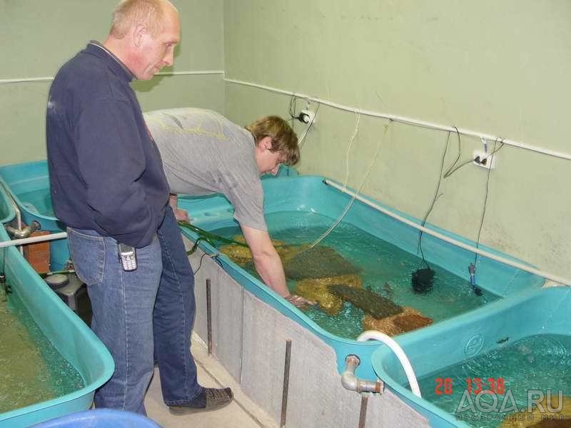 Видновский клуб в Подольске. Бассейны.