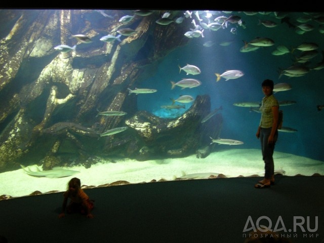 Aquarium de La Rochelle 1