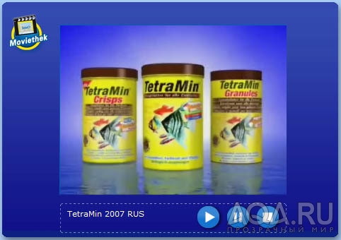 TetraMin