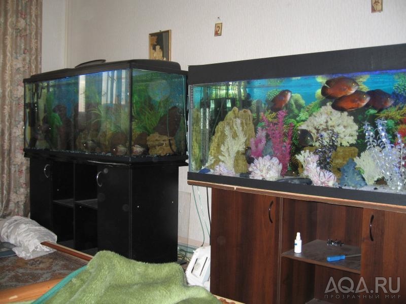 аквариум 500 литров-2