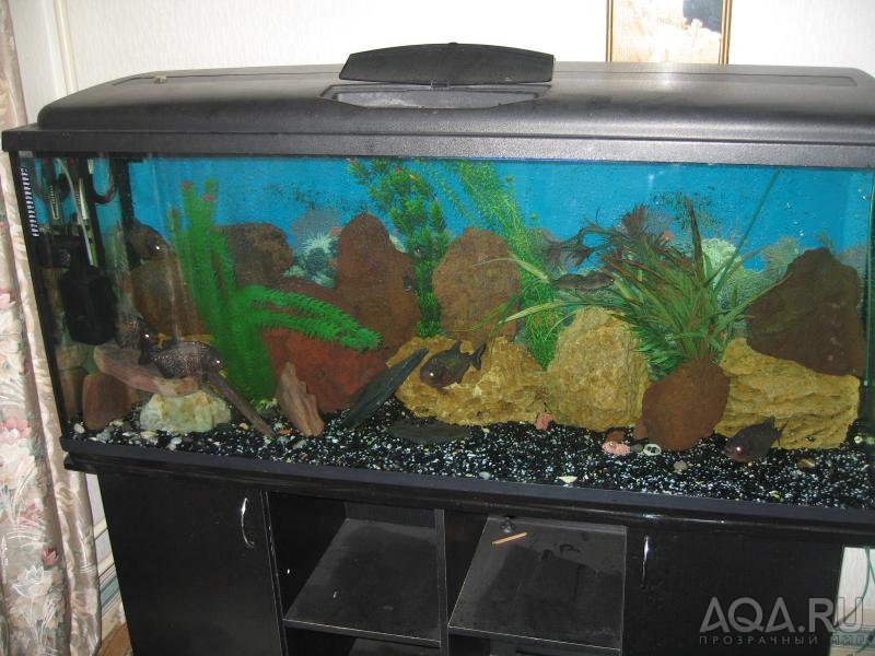 аквариум 500 литров-3