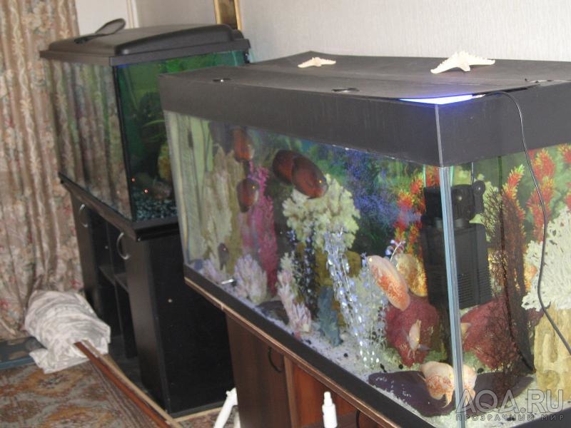 аквариум 500 литров-5