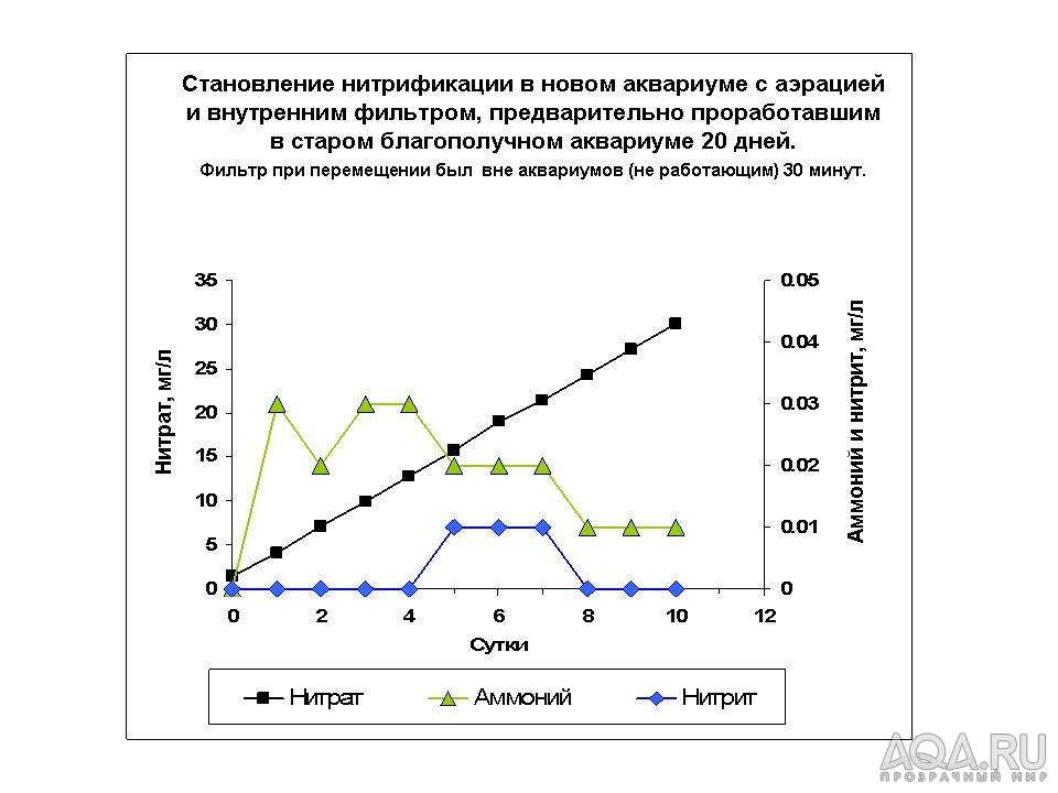 Становление нитрификации