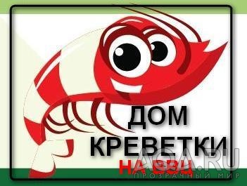 Дом креветки