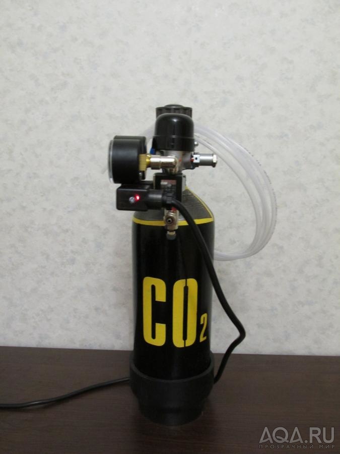 co 2