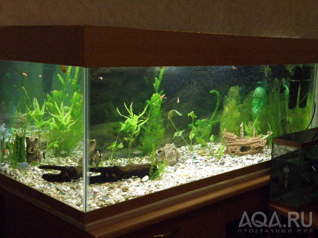 аквариум 250л