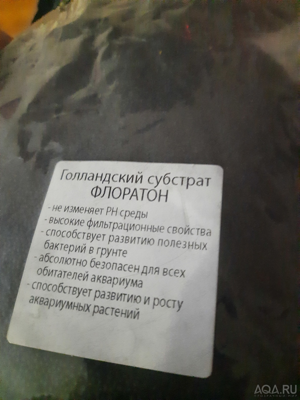 У петушка скручиваются плавники, появилась дырочка и отвалились чешуйки.