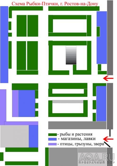 Схема Рыбки- Птички, Ростов