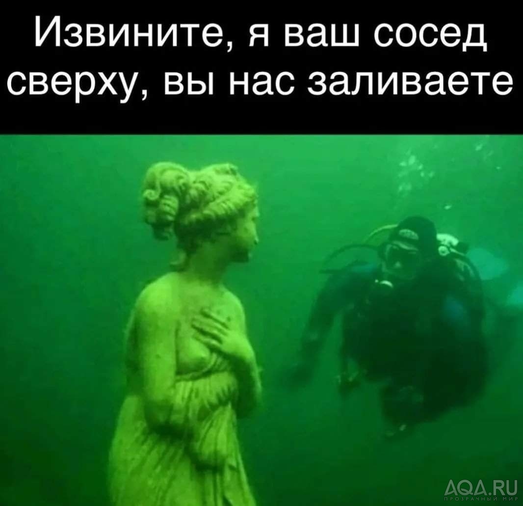 приколы..