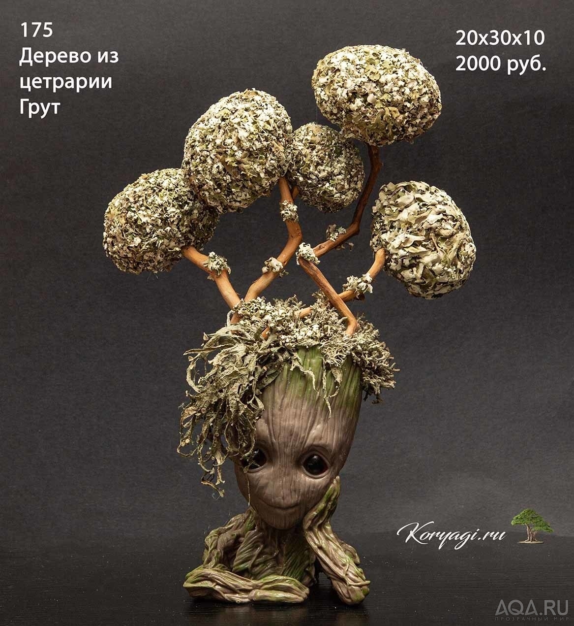 Коряги для аквариумов, террариумов, живые деревья.