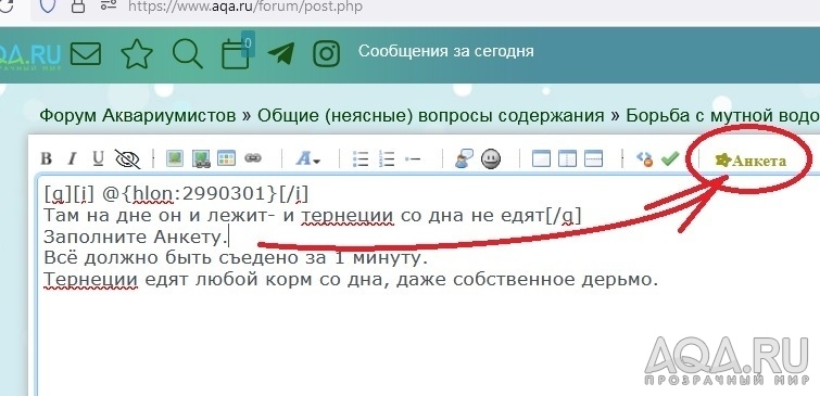 Борьба с мутной водой . Мутнеет от корма на дне как я думаю.