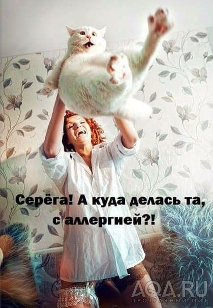 приколы..