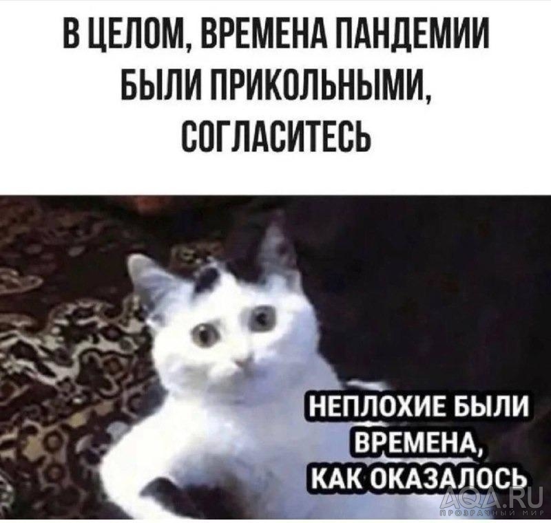 приколы..