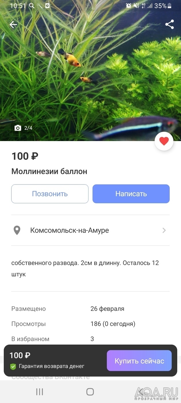 Можно ли меченосцев в 40л?