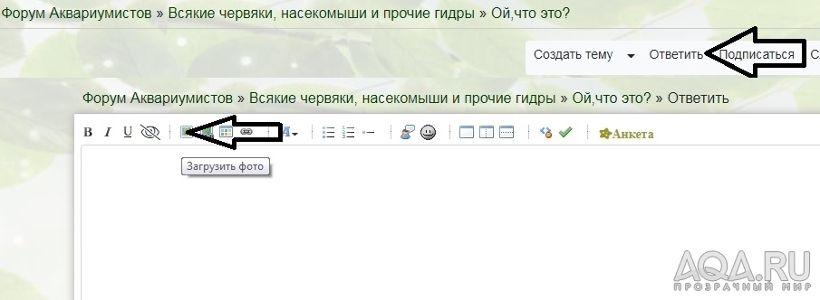 Ой,что это?