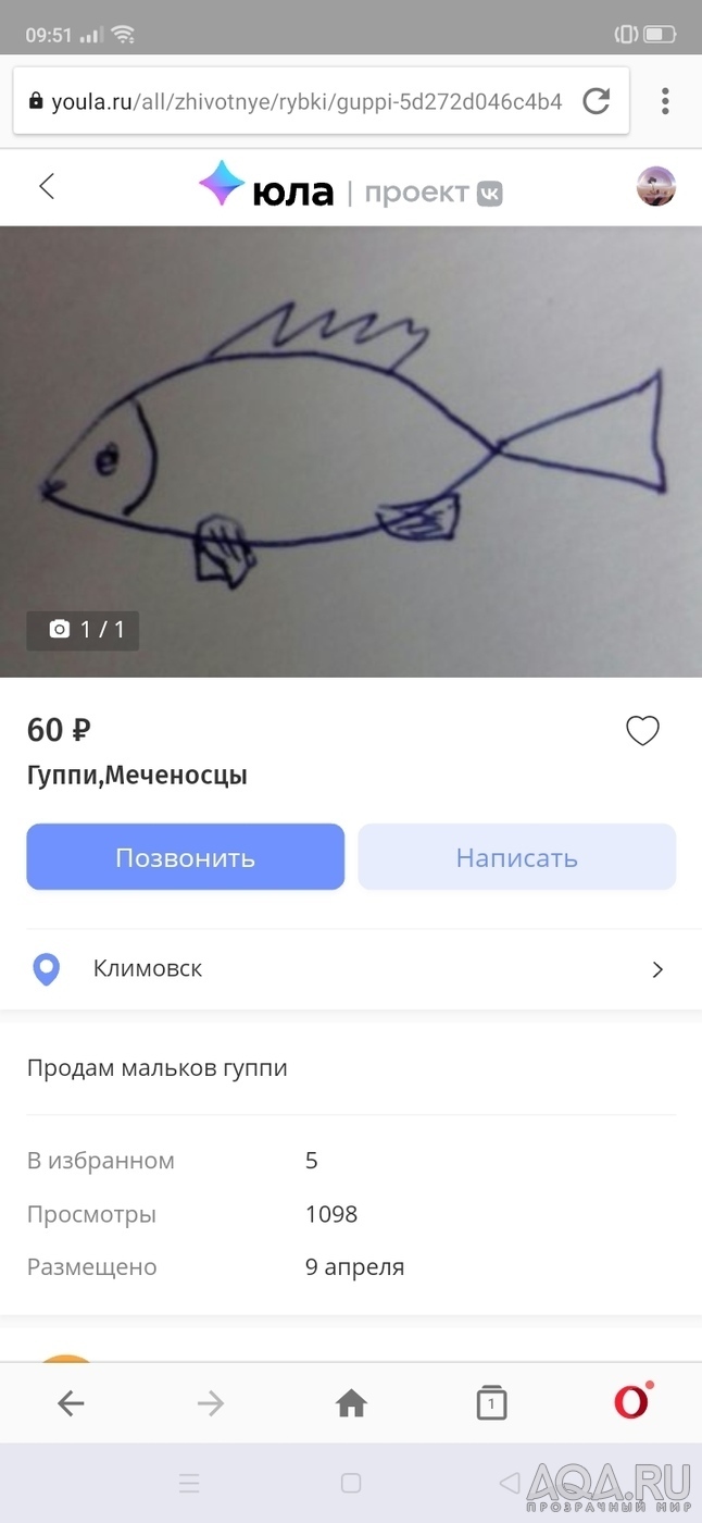 приколы..