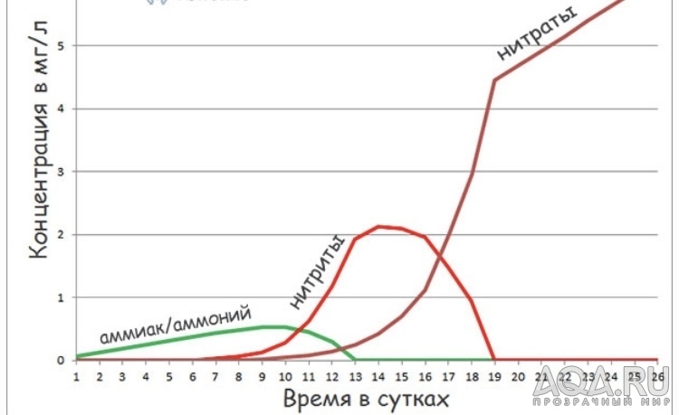 Жесткая вода, нужны советы.