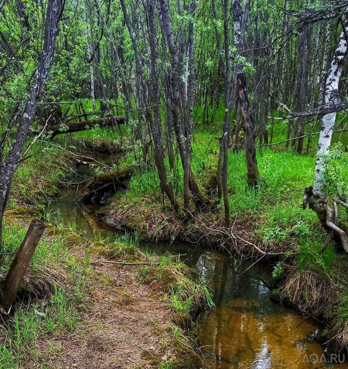 Фото дня.