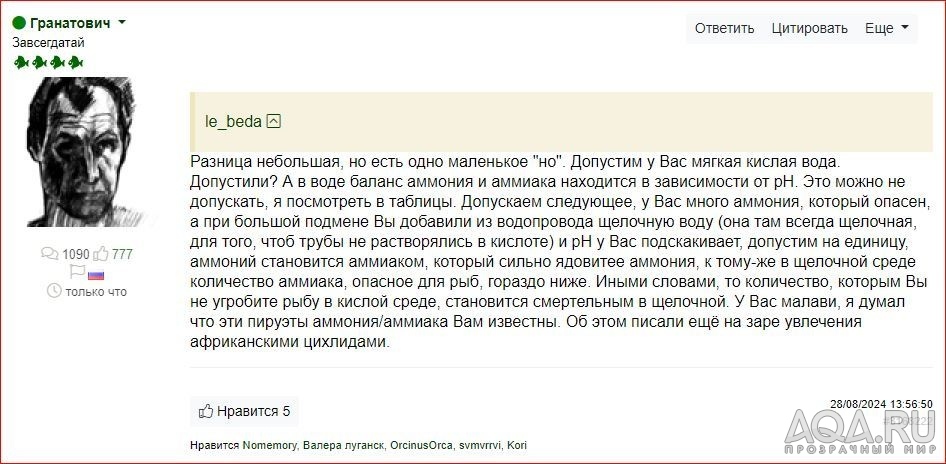 Апистограммы не живут дольше полу года