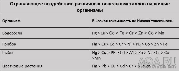 Окатанная галька - пригодность для растений.