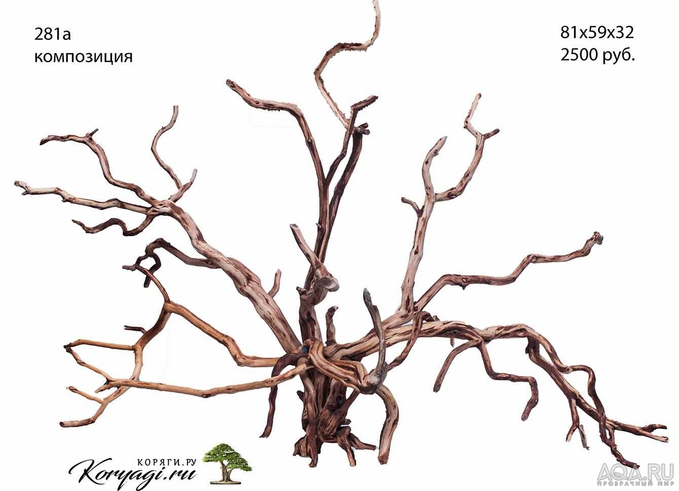 Коряги для аквариумов, террариумов, живые деревья.