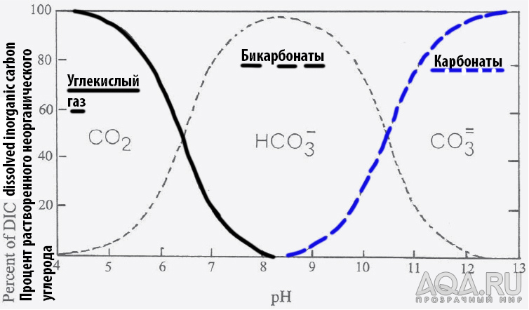 ph не смог поднять пищевой содой