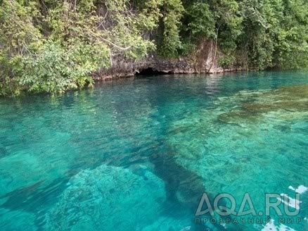 Lake Matano. Sulawesi, Indonesia.