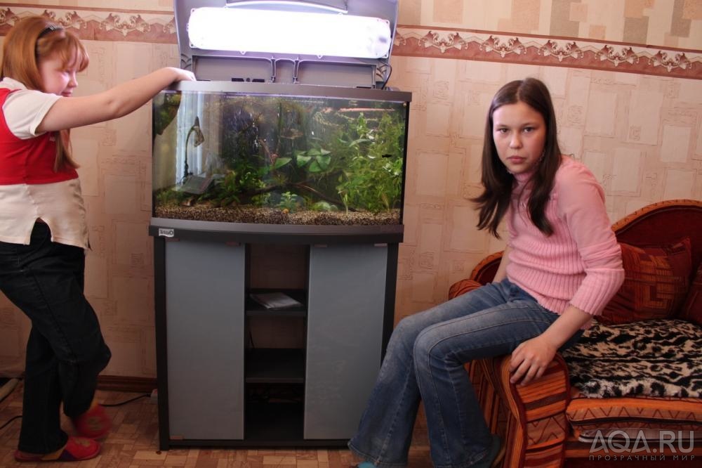 Девченки и аквариум