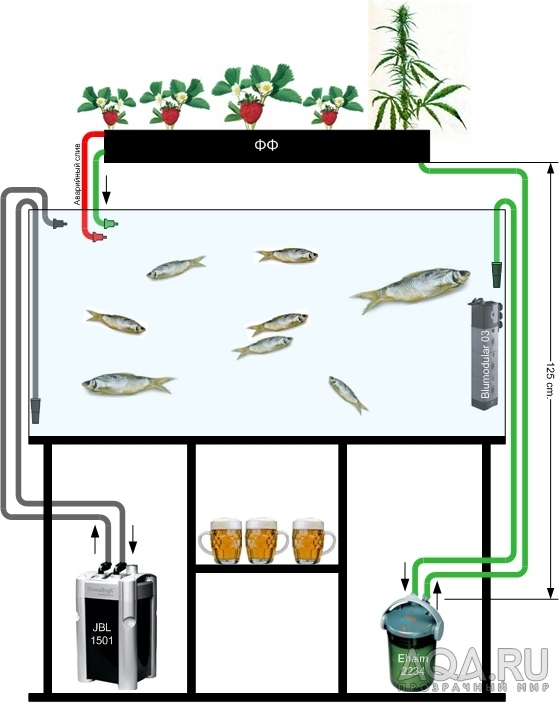 Фитофильтр для аквариума схема