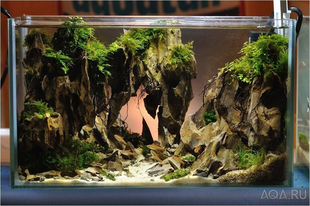 Камни и коряги в аквариуме фото