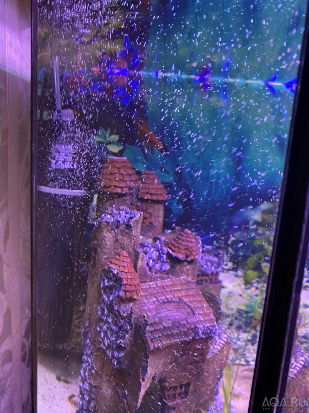 Декоративный аквариум с пузырьками. Пузырьковый аквариум. Самые мелкие пузырьки в аквариуме. Красивые пузырьки в аквариуме. Почему пузыри в аквариуме