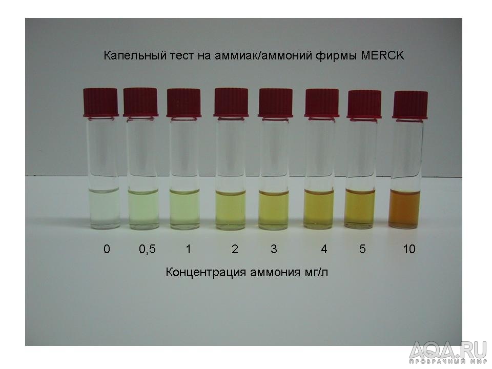 Анализ на аммиак в крови. Тест на аммиак. Флуоресцентный капельный тест. Тест воды аммиак Нилпа. Тест комплект аммоний.
