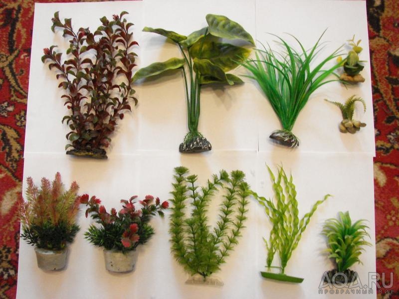 Искусственные растения для аквариума фото с названиями