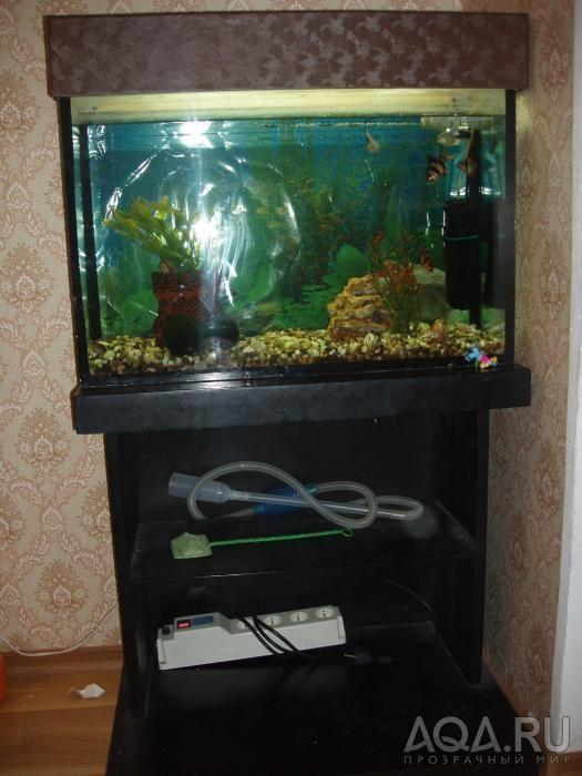 аквариум 65 литров