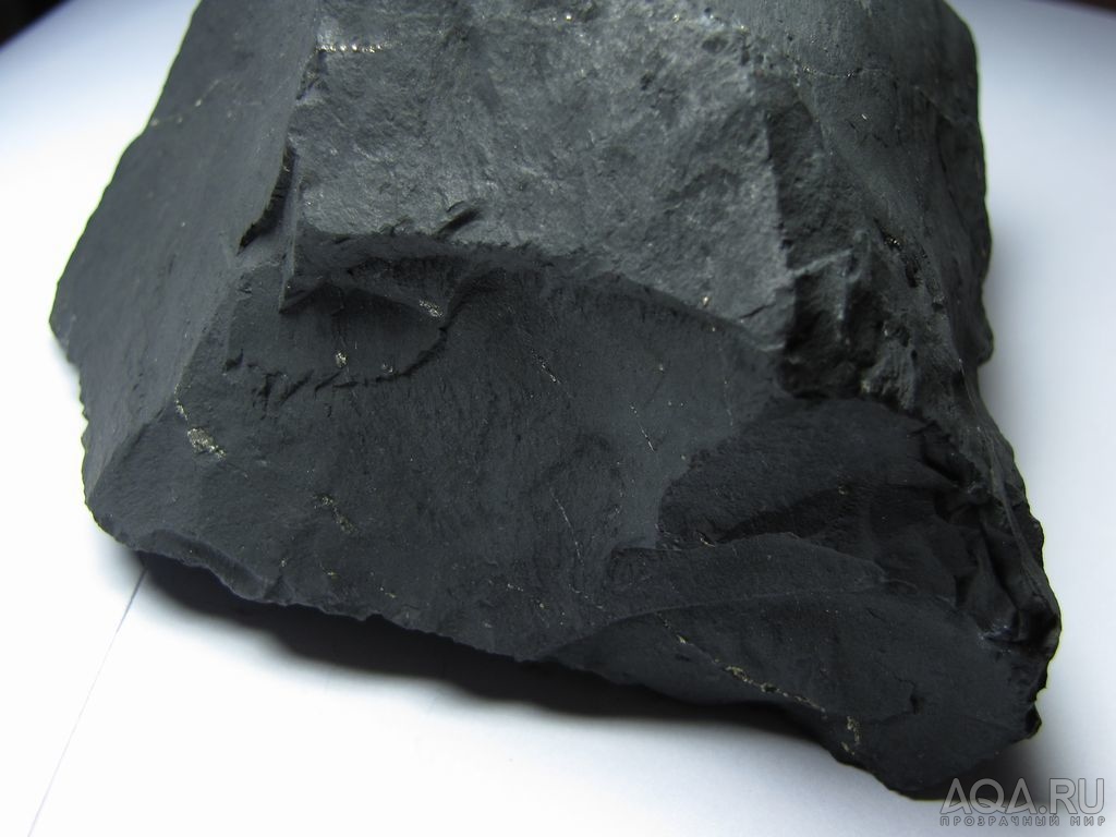 Какой камень добывают в карелии кроме шунгита. Камень черный шунгит. Карельский шунгит. Барабанный шунгит. Шунгит восточного Казахстана.