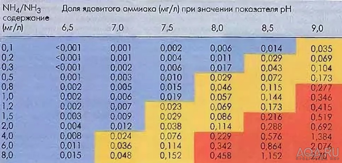 Как изменить пропорции фото